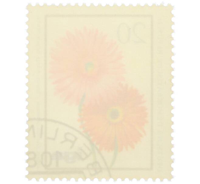 Почтовая марка 20 пфеннигов 1975 года Восточная Германия (ГДР) «Маргаритка Барбертонская» (Артикул: K12-78596) — Фото №2