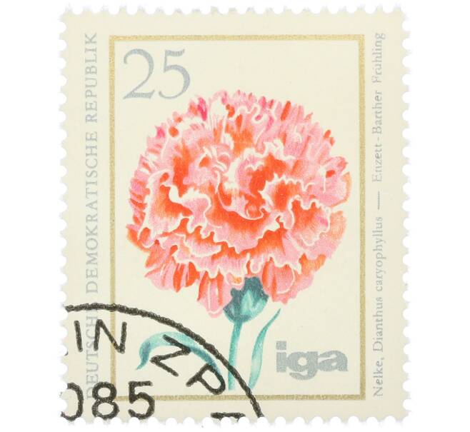 Почтовая марка 25 пфеннигов 1975 года Восточная Германия (ГДР) «Гвоздика» (Артикул: K12-78597) — Фото №1