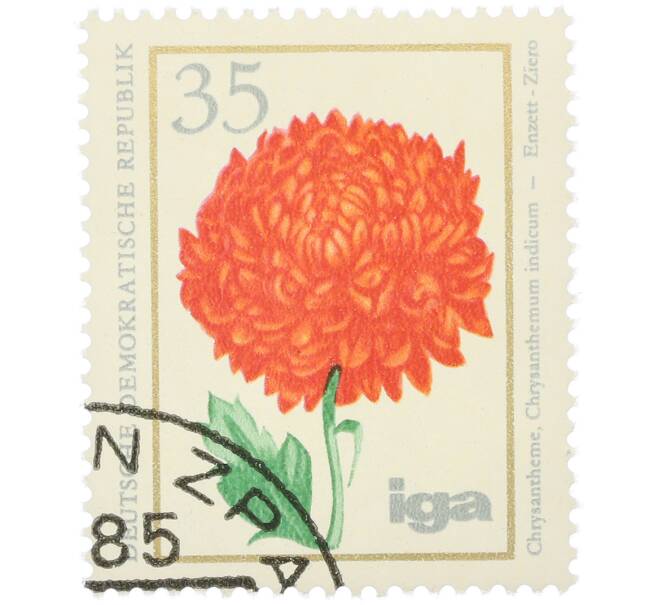 Почтовая марка 35 пфеннигов 1975 года Восточная Германия (ГДР) «Хризантема индийская» (Артикул: K12-78598) — Фото №1