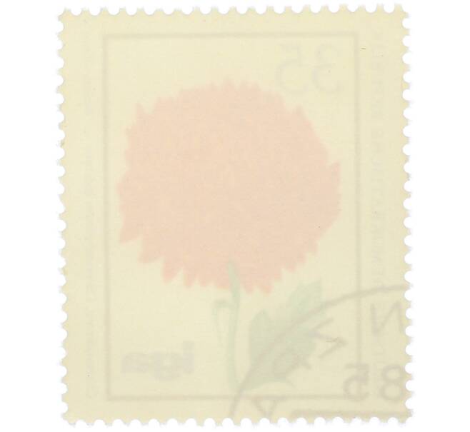 Почтовая марка 35 пфеннигов 1975 года Восточная Германия (ГДР) «Хризантема индийская» (Артикул: K12-78598) — Фото №2