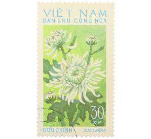 Почтовая марка 30 су 1974 года Северный Вьетнам (ДРВ) «Белая хризантема» — Фото №1