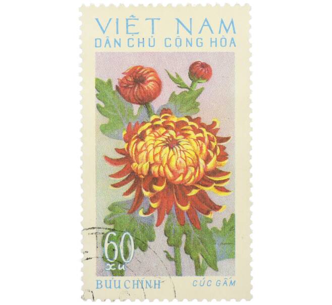 Почтовая марка 60 су 1974 года Северный Вьетнам (ДРВ) «Парчовая хризантема» (Артикул: K12-78623) — Фото №1