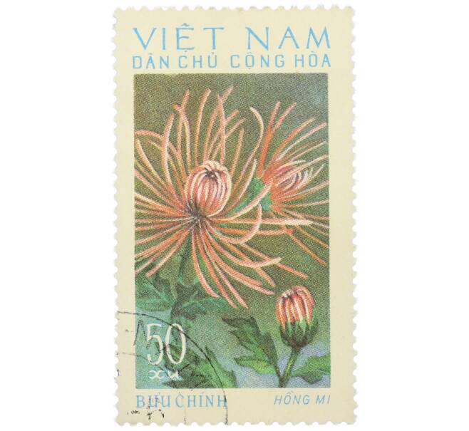 Почтовая марка 50 су 1974 года Северный Вьетнам (ДРВ) «Хризантема красный веер» (Артикул: K12-78625) — Фото №1
