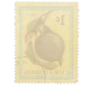 Почтовая марка 1 сентаво 1963 года Куба «Кубинские фрукты — Звездное яблоко» — Фото №2