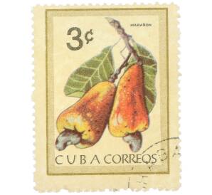 Почтовая марка 3 сентаво 1963 года Куба «Кубинские фрукты — Кешью» — Фото №1