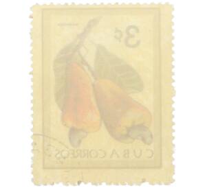 Почтовая марка 3 сентаво 1963 года Куба «Кубинские фрукты — Кешью» — Фото №2