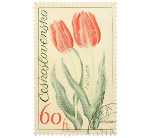 Почтовая марка 60 геллеров 1973 года Чехословакия «Выставка цветов в Оломоуце — Тюльпан» — Фото №1