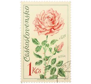 Почтовая марка 1 крона 1973 года Чехословакия «Выставка цветов в Оломоуце — Роза» — Фото №1