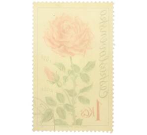Почтовая марка 1 крона 1973 года Чехословакия «Выставка цветов в Оломоуце — Роза» — Фото №2