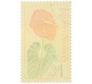 Почтовая марка 1.6 кроны 1973 года Чехословакия «Выставка цветов в Оломоуце — Антуриум» — Фото №2
