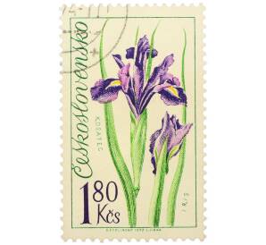 Почтовая марка 1.8 кроны 1973 года Чехословакия «Выставка цветов в Оломоуце — Ирис» — Фото №1