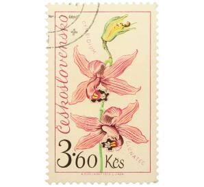 Почтовая марка 3.6 кроны 1973 года Чехословакия «Выставка цветов в Оломоуце — Цимбидиум» — Фото №1