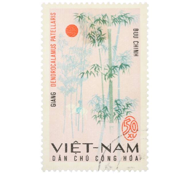 Почтовая марка 50 су 1967 года Северный Вьетнам (ДРВ) «Бамбук чашевидноы» (Артикул: K12-78645) — Фото №1