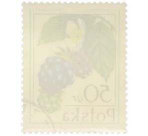 Почтовая марка 50 грошей 1977 года Польша «Лесные ягоды — Ежевика сизая» — Фото №2