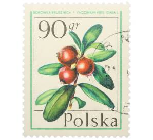 Почтовая марка 90 грошей 1977 года Польша «Лесные ягоды — Брусника обыкновенная» — Фото №1
