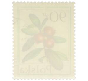 Почтовая марка 90 грошей 1977 года Польша «Лесные ягоды — Брусника обыкновенная» — Фото №2