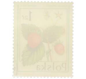 Почтовая марка 1 злотый 1977 года Польша «Лесные ягоды — Земляника лесная» — Фото №2