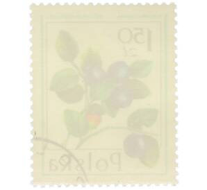 Почтовая марка 1.5 злотых 1977 года Польша «Лесные ягоды — Черника обыкновенная» — Фото №2