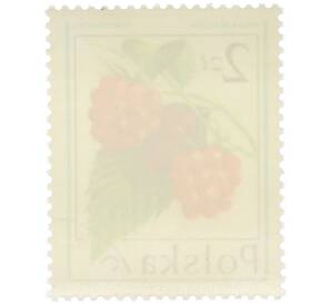 Почтовая марка 2 злотых 1977 года Польша «Лесные ягоды — Малина обыкновенная» — Фото №2