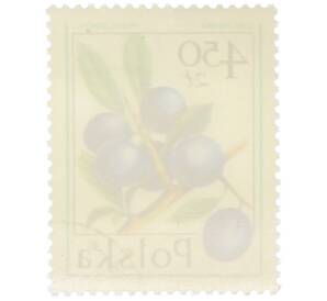 Почтовая марка 4.5 злотых 1977 года Польша «Лесные ягоды — Терновник» — Фото №2