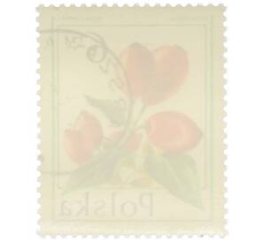 Почтовая марка 6 злотых 1977 года Польша «Лесные ягоды — Шиповник собачий» — Фото №2