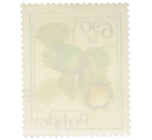 Почтовая марка 6.9 злотых 1977 года Польша «Лесные ягоды — Лещина обыкновенная» — Фото №2