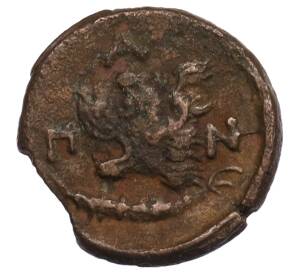 Тетрахалк 294-284 года до н.э. Боспорское царство (Пантикапей) — Фото №2