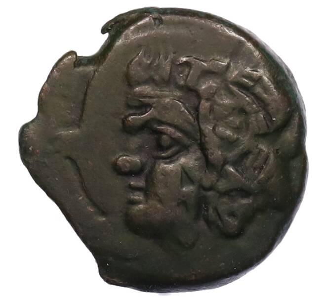 Монета Тетрахалк 275-250 года до н.э. Боспорское царство (Пантикапей) (Артикул: K1-7186) — Фото №1