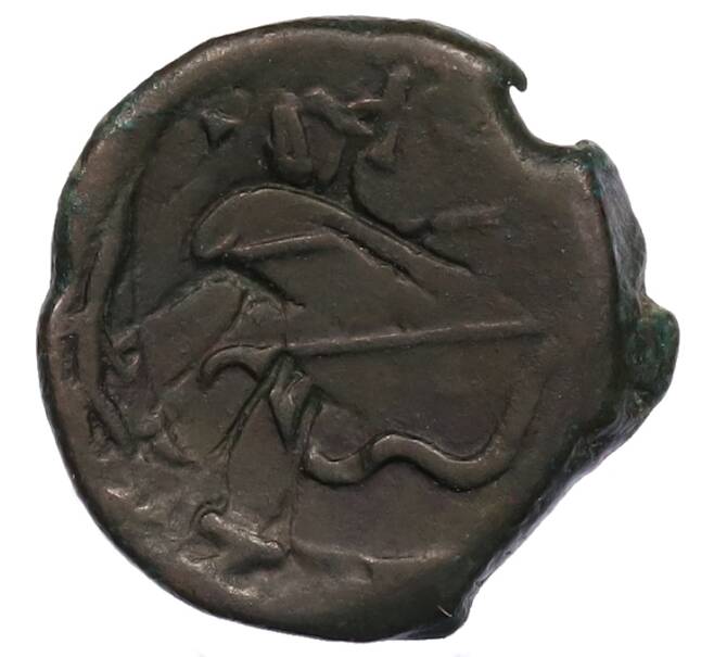 Монета Тетрахалк 275-250 года до н.э. Боспорское царство (Пантикапей) (Артикул: K1-7186) — Фото №2