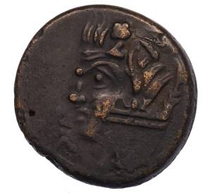 Тетрахалк 275-250 года до н.э. Боспорское царство (Пантикапей) — Фото №1