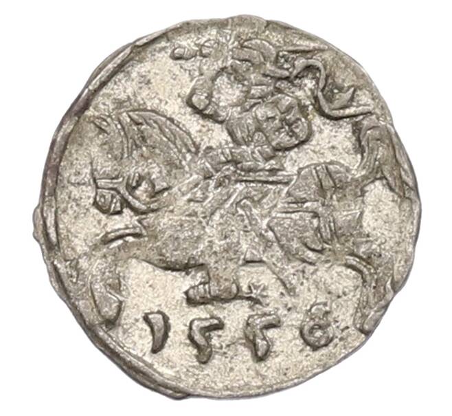 Монета 1 денар 1556 года Литва (Сигизмунд II) (Артикул: K2-0804) — Фото №1