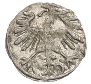 1 денар 1556 года Литва (Сигизмунд II) — Фото №2