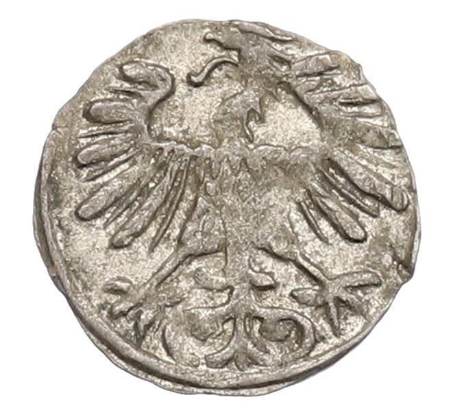 Монета 1 денар 1556 года Литва (Сигизмунд II) (Артикул: K2-0804) — Фото №2