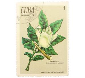 Почтовая марка 1 сентаво 1970 года Куба «Лекарственные растения — Гуарея» — Фото №1