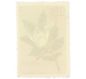 Почтовая марка 1 сентаво 1970 года Куба «Лекарственные растения — Гуарея» — Фото №2