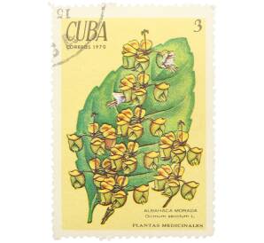 Почтовая марка 3 сентаво 1970 года Куба «Лекарственные растения — Фиолетовый базилик» — Фото №1