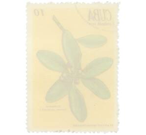 Почтовая марка 10 сентаво 1970 года Куба «Лекарственные растения — Канелла» — Фото №2