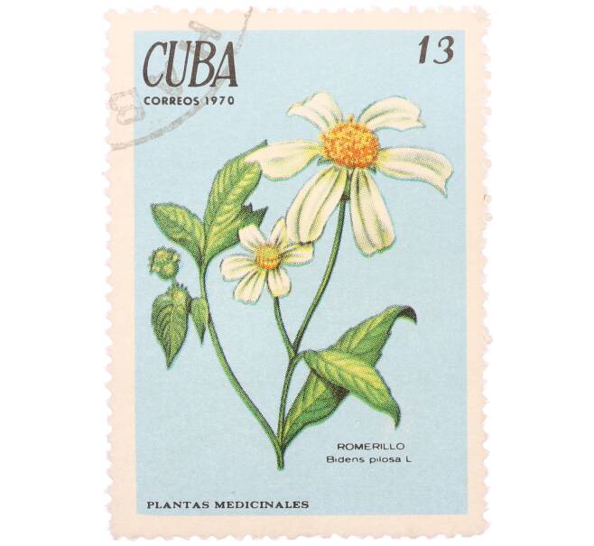 Почтовая марка 13 сентаво 1970 года Куба «Лекарственные растения — Череда волосистая» (Артикул: K12-78817) — Фото №1