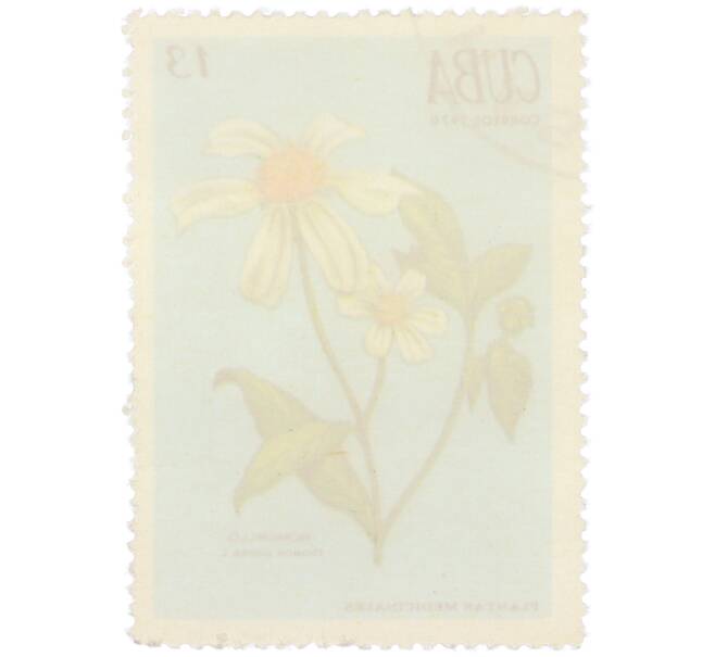 Почтовая марка 13 сентаво 1970 года Куба «Лекарственные растения — Череда волосистая» (Артикул: K12-78817) — Фото №2