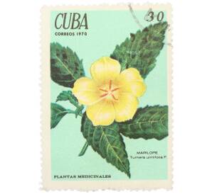 Почтовая марка 30 сентаво 1970 года Куба «Лекарственные растения — Тернера вязолистная» — Фото №1