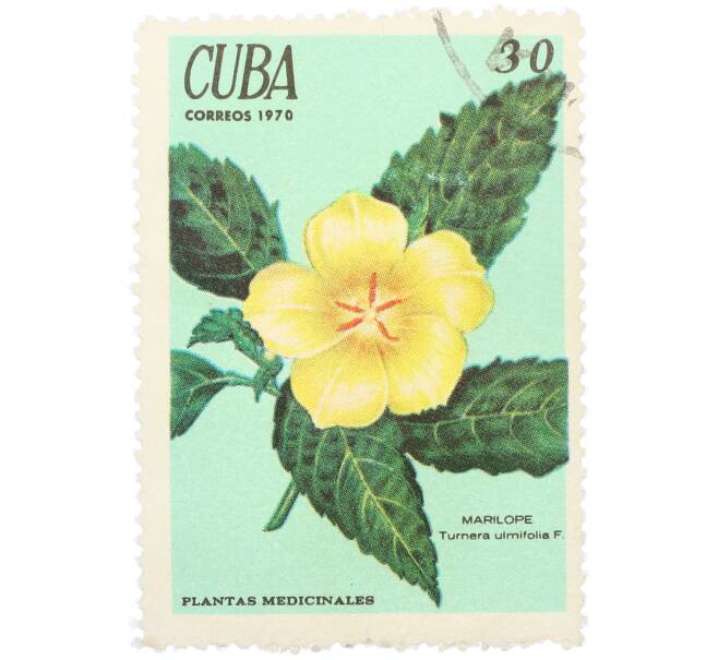 Почтовая марка 30 сентаво 1970 года Куба «Лекарственные растения — Тернера вязолистная» (Артикул: K12-78818) — Фото №1