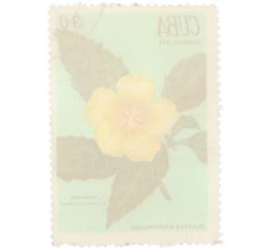 Почтовая марка 30 сентаво 1970 года Куба «Лекарственные растения — Тернера вязолистная» — Фото №2