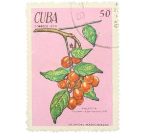 Почтовая марка 50 сентаво 1970 года Куба «Лекарственные растения — Пикрамния пятитычинковая» — Фото №1