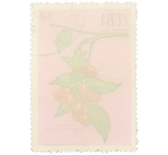 Почтовая марка 50 сентаво 1970 года Куба «Лекарственные растения — Пикрамния пятитычинковая» (Артикул: K12-78819) — Фото №2