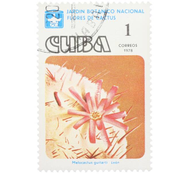 Почтовая марка 1 сентаво 1978 года Куба «Цветы кактусов — мелокактус Гитарти» (Артикул: K12-78820) — Фото №1