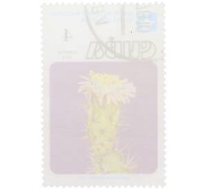 Почтовая марка 4 сентаво 1978 года Куба «Цветы кактусов — Лептоцереус Райта» — Фото №2