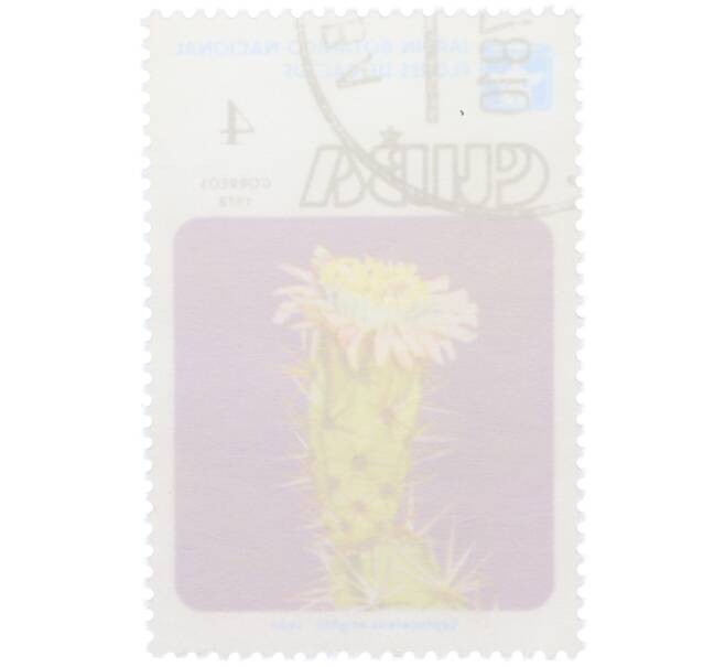 Почтовая марка 4 сентаво 1978 года Куба «Цветы кактусов — Лептоцереус Райта» (Артикул: K12-78821) — Фото №2