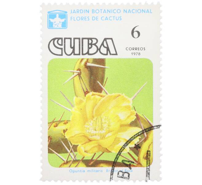 Почтовая марка 6 сентаво 1978 года Куба «Цветы кактусов — Опунция» (Артикул: K12-78822) — Фото №1