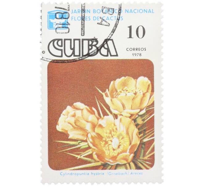 Почтовая марка 10 сентаво 1978 года Куба «Цветы кактусов — Цилиндропунция щетинистая» (Артикул: K12-78823) — Фото №1