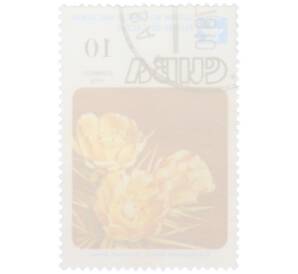 Почтовая марка 10 сентаво 1978 года Куба «Цветы кактусов — Цилиндропунция щетинистая» — Фото №2